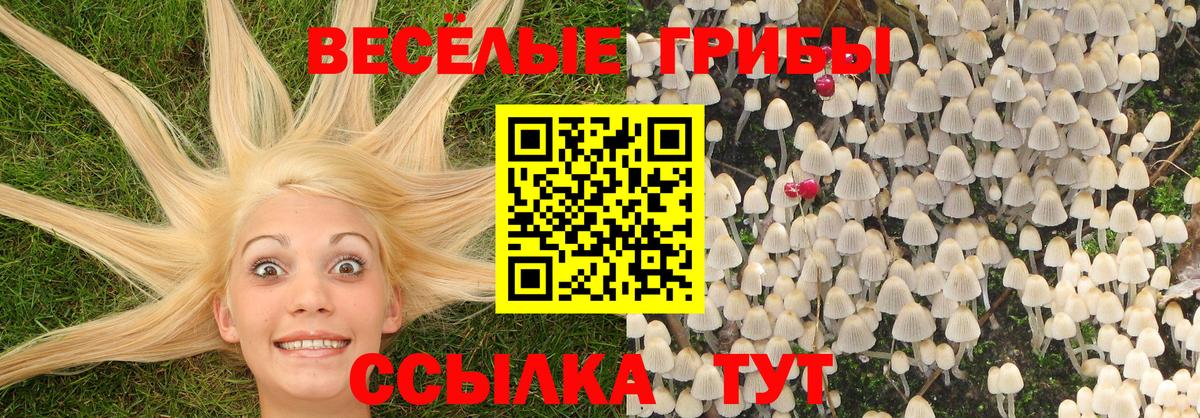 Галлюциногенные грибы прущие грибы Армавир