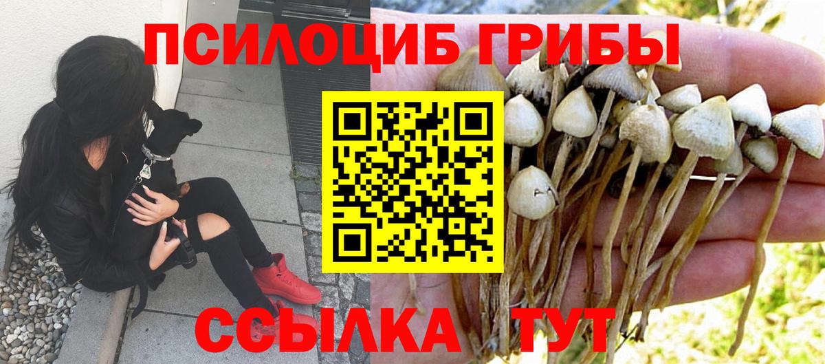 Армавир  купить  сайты  Вход с VPN  Галлюциногенные грибы ЛСД 